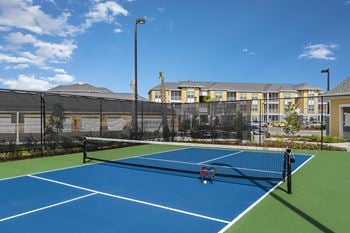 Lighted pickleball court